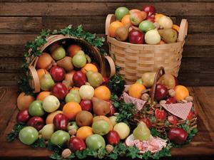 Citrus and Fruits