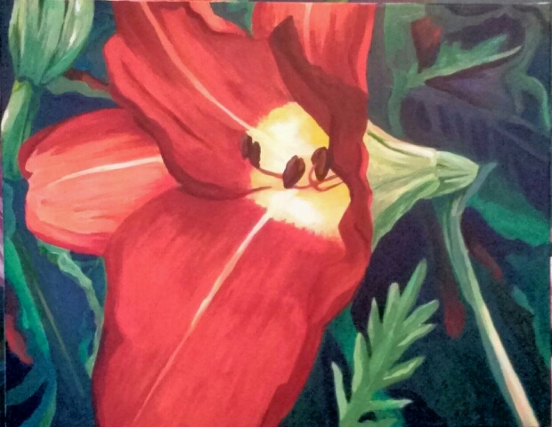 Sun Lily